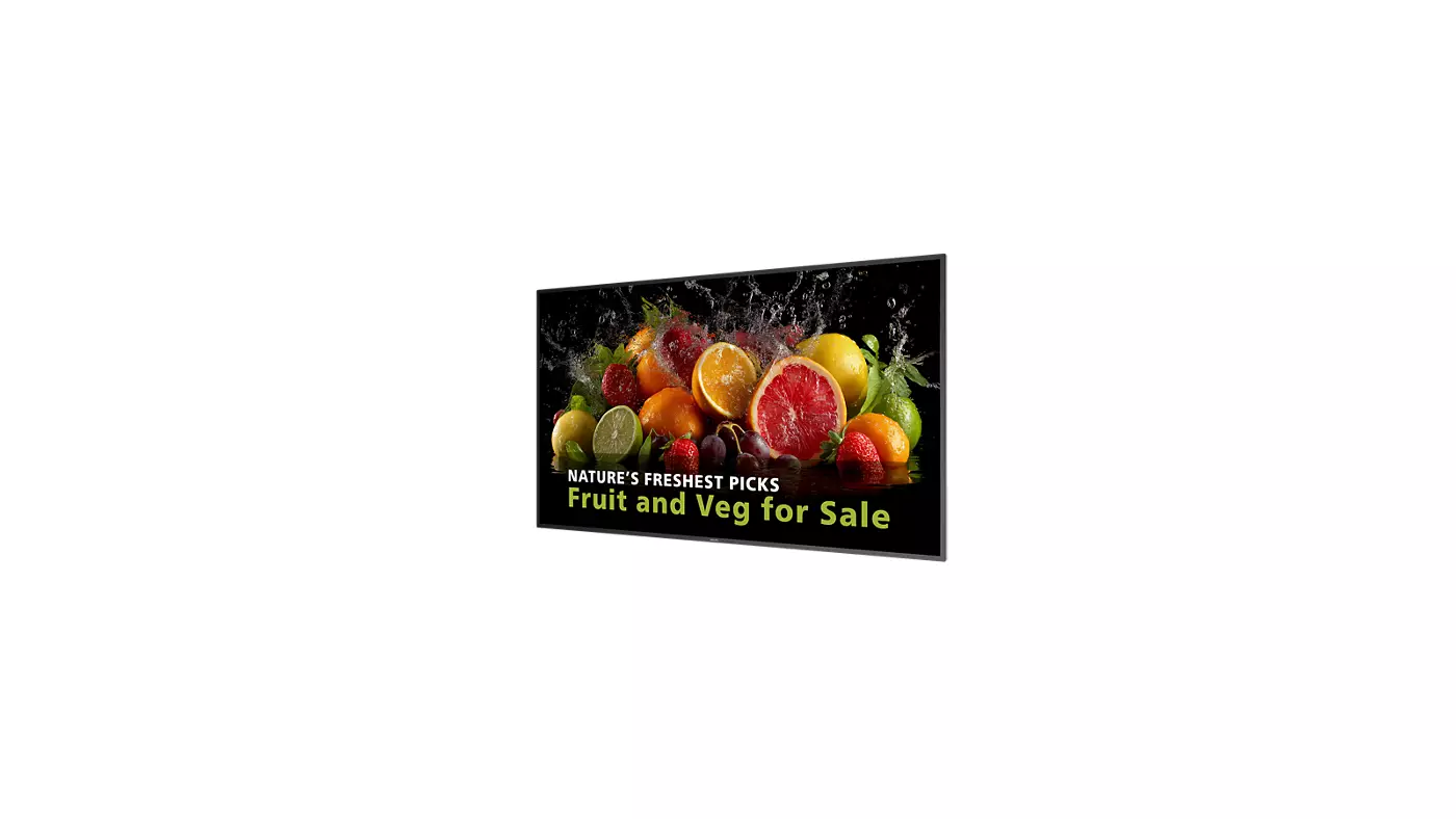 Philips 65BDL5050D/00 65" Signage 5000 Series
